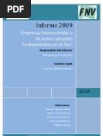 Informe Anual 2009