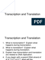 Transcription and Translation