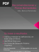 Recomendaciones y Planes Remediales