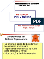 Histologia Piel y Anexos