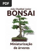 Bonsai-Miniaturizacao de Arvores