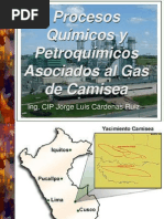 Procesos Gas Camisea