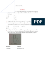 Fisica Dinamica