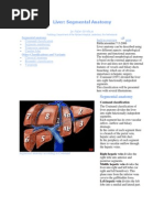 Liver Anatomy