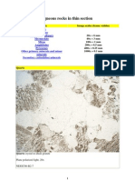 Rocas Ígneas en Sección Delgada