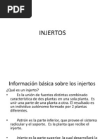 Injertos