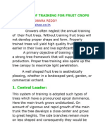 Systems of Training For Fruit Crops