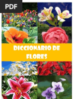 Flores