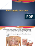 Pancreas - Enzyme and Function