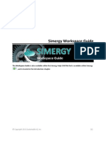 Simergy Workspace Guide v1