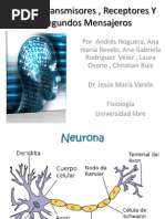 Neurotransmisores, Receptores y Segundos Mensajeros