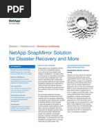 NetApp SnapMirror