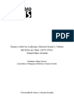 Ensayo Ladrones, Historia Social y Cultura Del Robo en Chile (1870-1920)