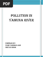 Pollution in Yamuna River: Compiled By:-Yash Vardhan Jain Chetan Singh