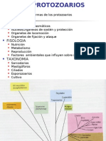 Generalidades Protozoarios