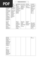 Nursing Care Plan - 2