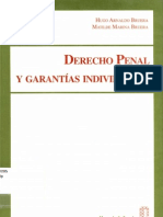 Derecho Penal y Garantias Individuales - Bruera Hugo A Bruera Matilde M PDF