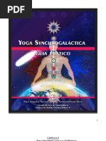 Yoga Synchrogaláctica II - As Praticas...