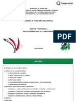 Técnico en Mecatrónica M I