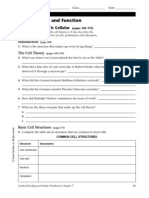 Cell Structure and Function