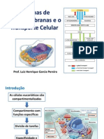 Aula 14-15-16 - Sistemas de Endomembranas e Transporte Celular
