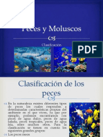 Peces y Moluscos