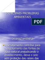 Apresentação Problemas Ambientais