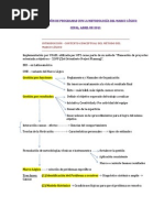 Formulación de Programas Con La Metodología Del Marco Lógico-Resumen ROY