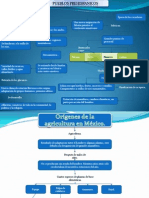 Mapas Conceptuales