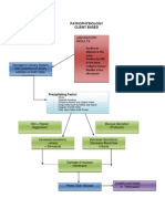 Pathophysiology Client Based: Precipitating Factor