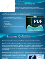 Fisiologia Depresion 110627002634 Phpapp02