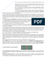 La Teoría Del Magnetismo Más Aceptada Hoy en Día Es La Teoría de Los Dominios