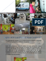 Peluqueria Canina Cristina