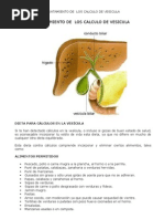 Calculos Biliares - Alimentos Aconsejados