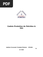 Cadeia Produtiva de Petróleo & Gás