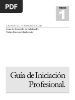 Guia de Iniciacion Profesional