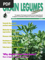 Grain Legumes 56 Faba Bean