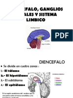 Diencefalo Ganglios Basales y Sistema Limbico