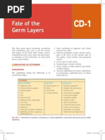 Fate of The Embryonic Germ Layers