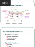 Liver Function Tests and Enzymes