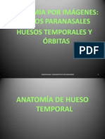 Sem 3 C-5 Anatomia SPN y Huesos Tem y Orbitas