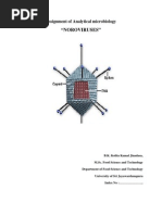 Noro Virus - Analytical Microbiology