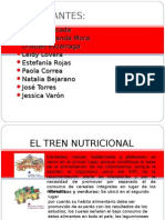 El Tren Nutricional