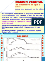 Transpiracion Vegetal