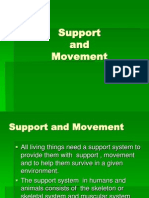 Support and Movement