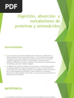 Digestión, Absorción y Metabolismo de Proteínas