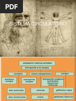 Sistema Circ Ula To Rio