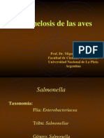 Salmonelosis de Las Aves