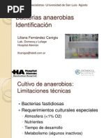 Identificación Anaerobios San Luis 2013 para Dejar