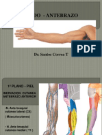 PDF Opia de Codo-Antebrazo - Correa